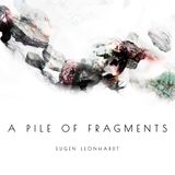 Eugen Leonhardt - A Pile Of Fragments