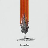 Man with Roses - forest:fire