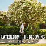 Ntwali - Latebloomer II - Blooming