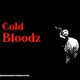 RoninzVision - Cold Bloodz